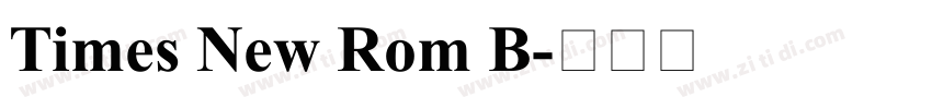 Times New Rom B字体转换
